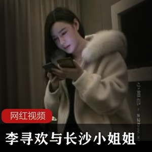 《李寻欢的高清作品：长沙小姐姐的探花之旅》