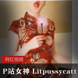 独家推荐P站女神Litpussycatt亲自演绎的旗袍与黑丝作品，让你沉醉其中！