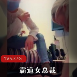 霸道女总裁惩罚员工的高能视频资源