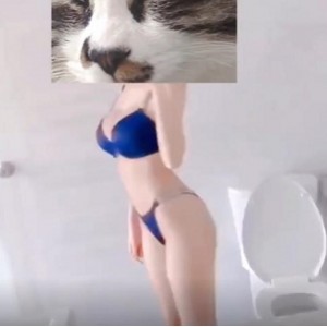 久妖：顶级网红女主播周淑怡的黑丝风格飞机哥：飞行员的沙雕女王周淑怡的绝顶表演2.7G黑丝网丝：周淑怡展现的长腿女神风情