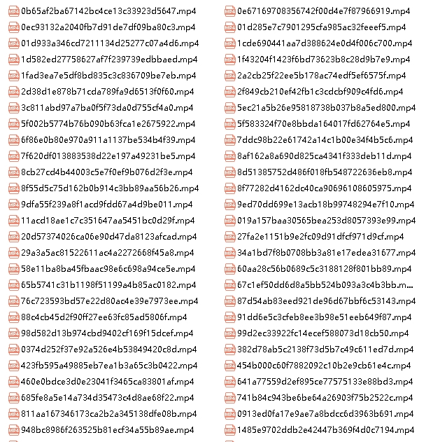 激烈对白的自行打包小视频（含117v）