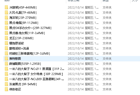 大梨子写真合集多人游4.3G百度云资源