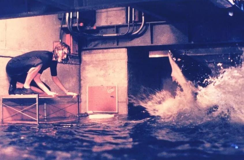 深海狂鲨：美国电影中的惊险之旅