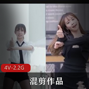 4V-2.2GB站高人气舞蹈PMV作品集，时长5-12分钟，精华满满，岛国、韩国精品！