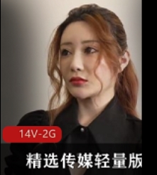 精选传媒轻量版护士韩国保安花家前女友等14部14V-2G