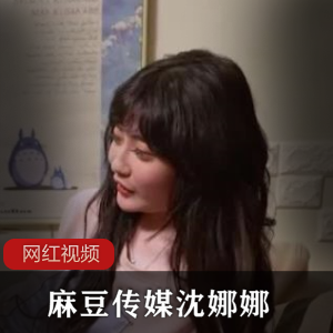 沈娜娜的作品
