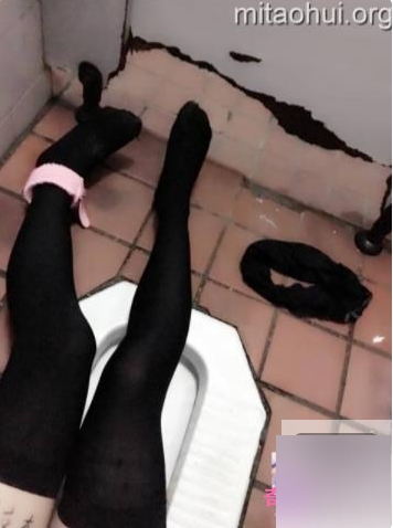 最新清纯软妹子猫奴全系列合集