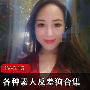 反差狗合集：1V/3.1G/6小时口舒服节奏