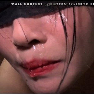 可爱小狗mini咪妮展现机智魅力，收藏数已达1248！（视频大小：105v46.2g，新增3v）