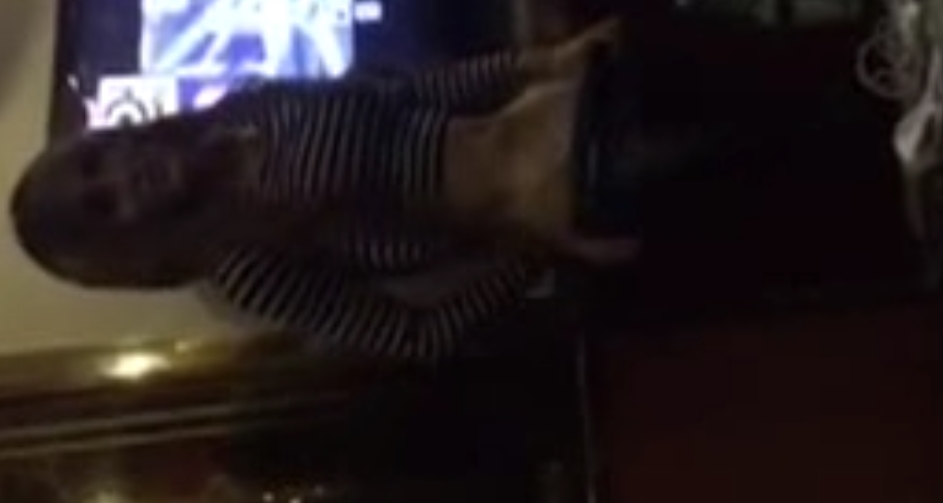 TS伪娘合集111g补：收藏解压，多重风格任你选