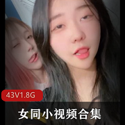 青春颜值女同自拍合集，43V1.8G高清视频，中日韩道具露脸