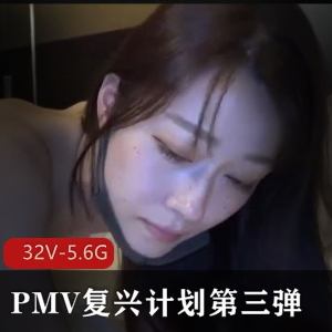 国家元素盛宴，名场面爆汁无圣光，32V5.6G观看享受