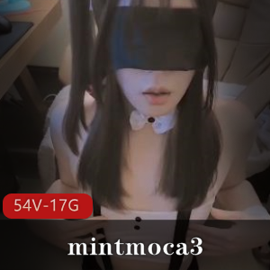 OnlyFans大雕mintmoca3合集54部17G真会玩