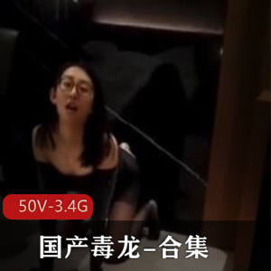 探花独龙珍藏视频50部3.4G合集