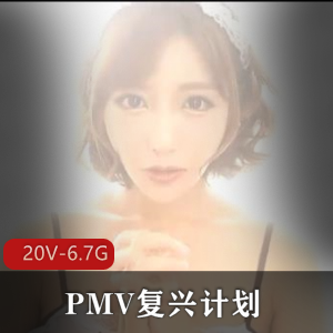PMV复兴计划小合集20部6.7G，包含绝版亚籍女Y与巨囊症作品
