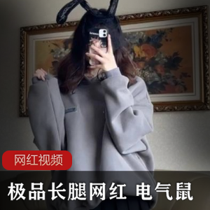 抖音电气鼠宅舞合集28部59MB优质腿精