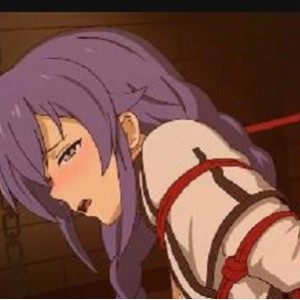 Pixiv无职转生异世界同人短片53V5.8G珍藏版