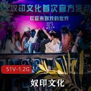 推特奴印文化劲爆合集51部1.2G
