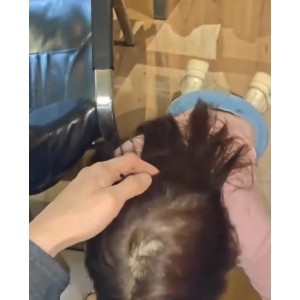 小蓝鸟姐弟禁忌视频25部700M血脉贲张